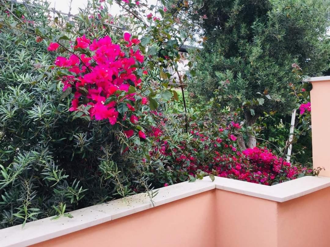 B & B Jasmine Santa Teresa Di Riva Exterior photo